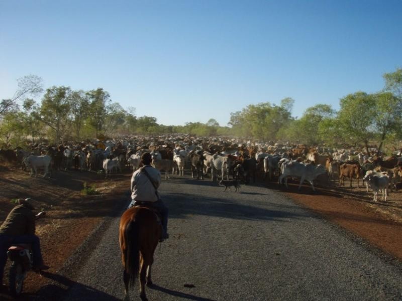Richmond QLD 4822