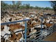 Richmond QLD 4822