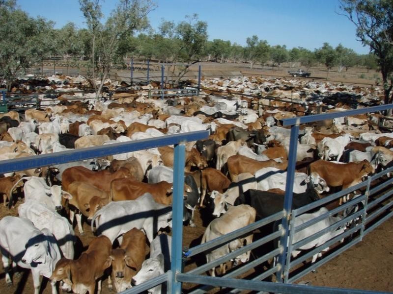 Richmond QLD 4822