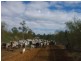 Richmond QLD 4822