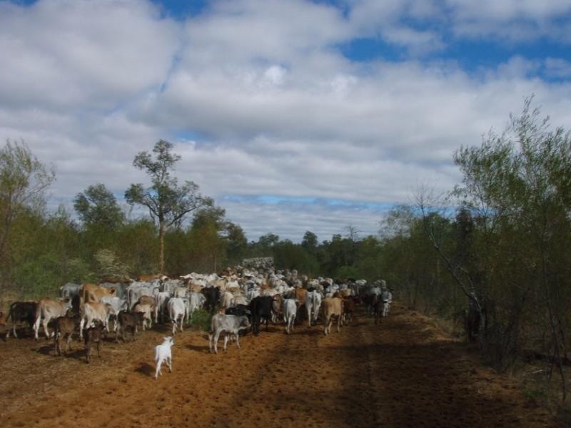 Richmond QLD 4822