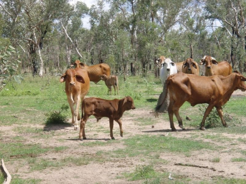 Richmond QLD 4822