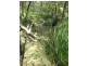 Mount Cotton QLD 4165