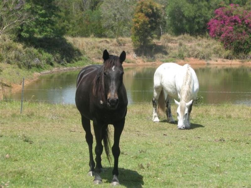 Mount Cotton QLD 4165