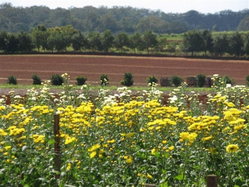 Glass House Mountains QLD 4518