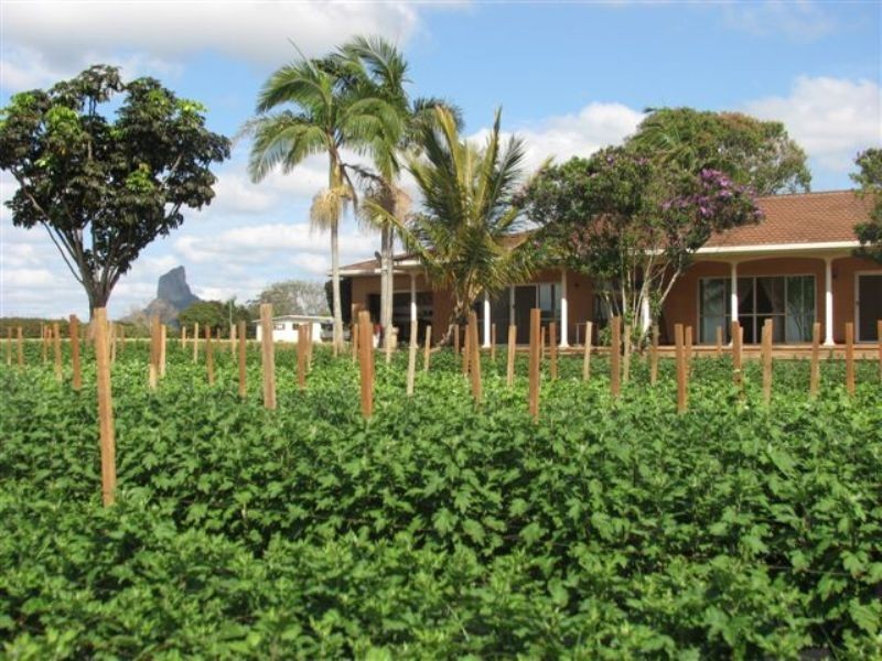 Glass House Mountains QLD 4518