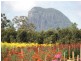 Glass House Mountains QLD 4518
