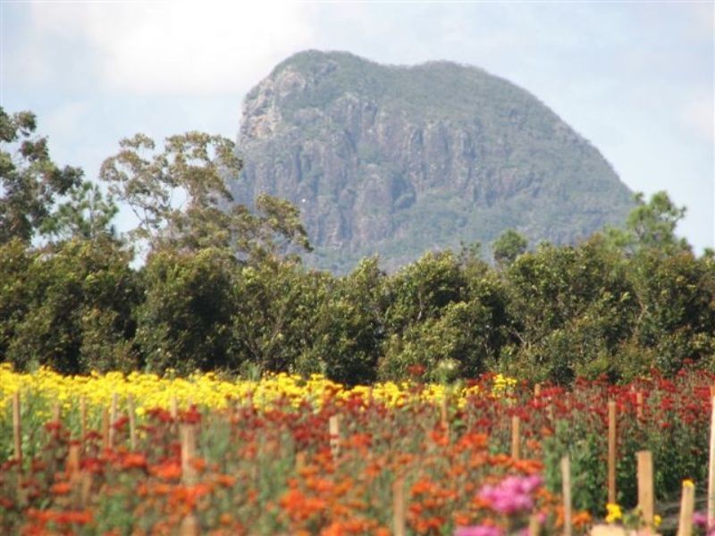 Glass House Mountains QLD 4518