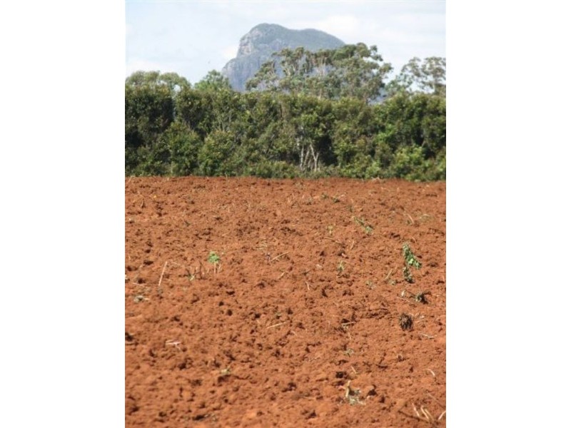 Glass House Mountains QLD 4518