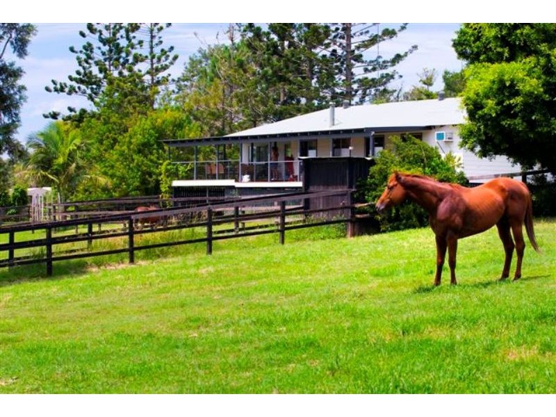 Cooroy QLD 4563