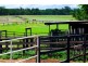 Cooroy QLD 4563