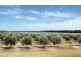 Pittsworth QLD 4356
