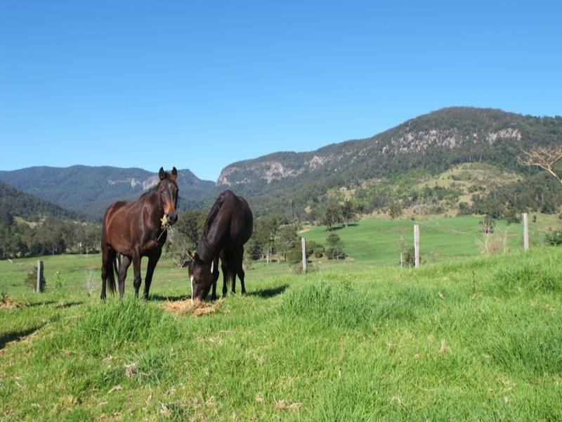 Numinbah Valley QLD 4211
