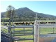 Numinbah Valley QLD 4211