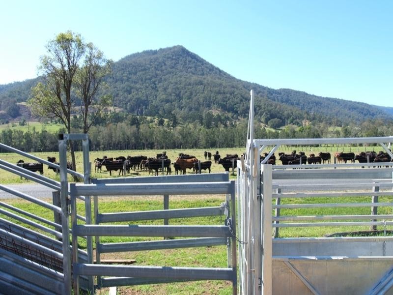Numinbah Valley QLD 4211