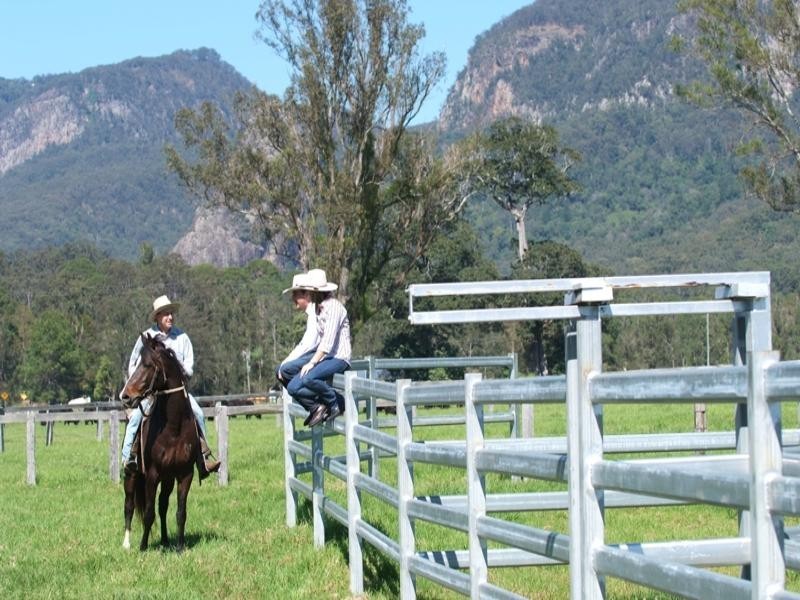Numinbah Valley QLD 4211