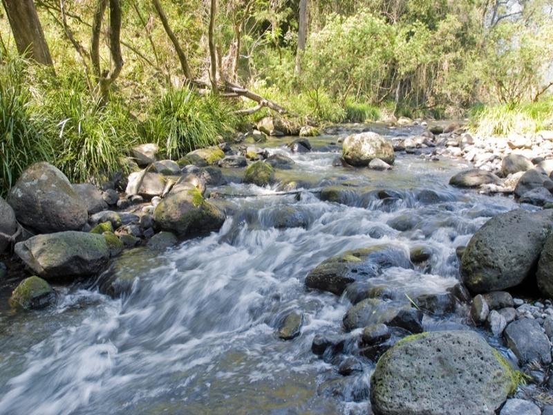Numinbah Valley QLD 4211