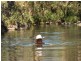 Numinbah Valley QLD 4211