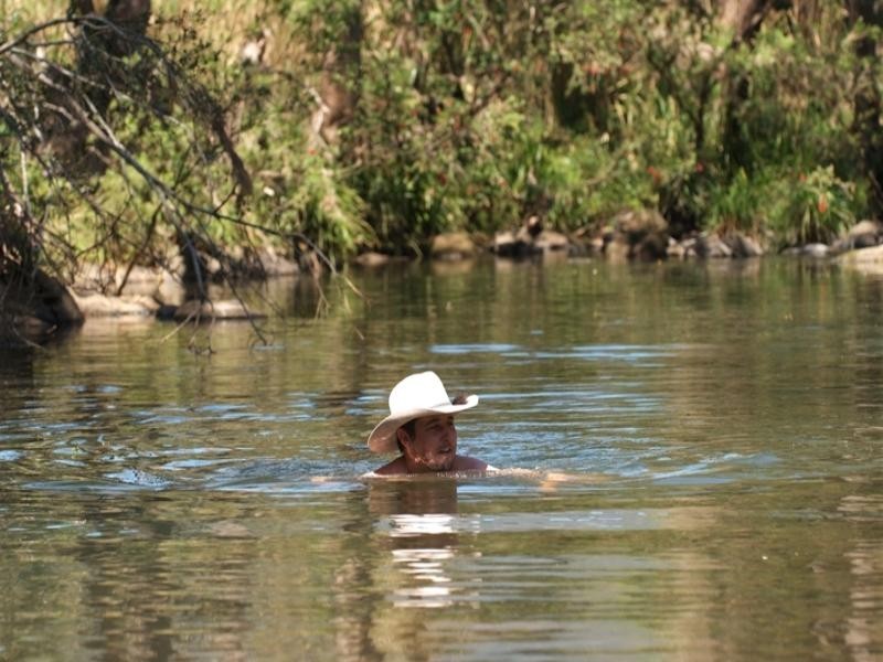 Numinbah Valley QLD 4211