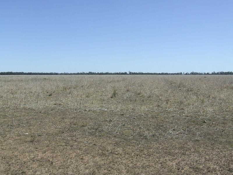Toobeah QLD 4498