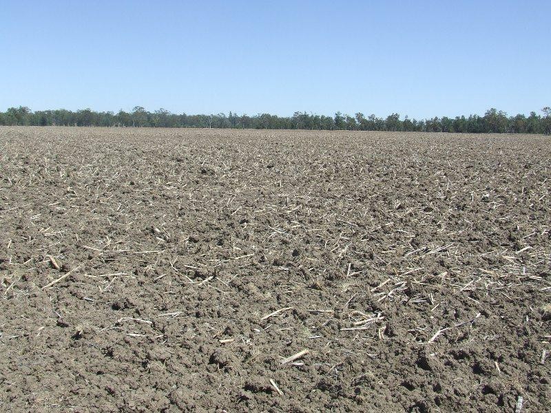 Toobeah QLD 4498