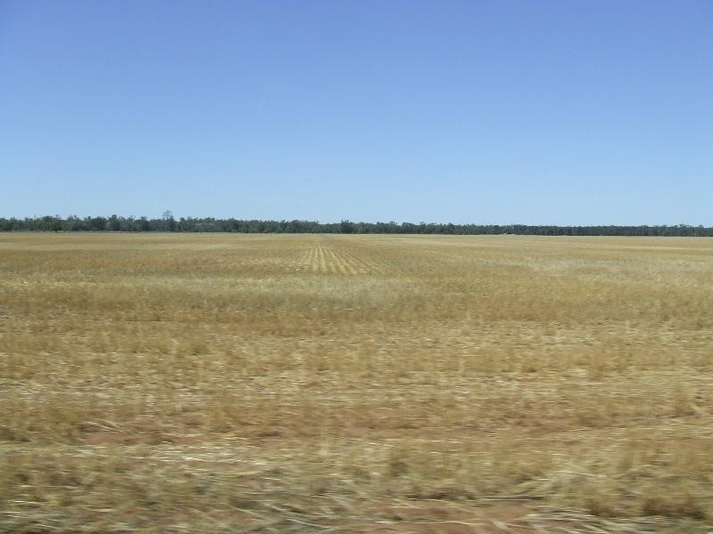 Toobeah QLD 4498