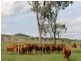 Rosalie Plains QLD 4401