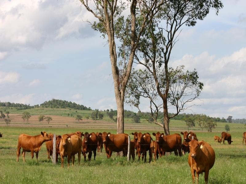 Rosalie Plains QLD 4401