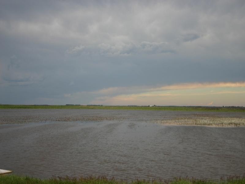 Rosalie Plains QLD 4401