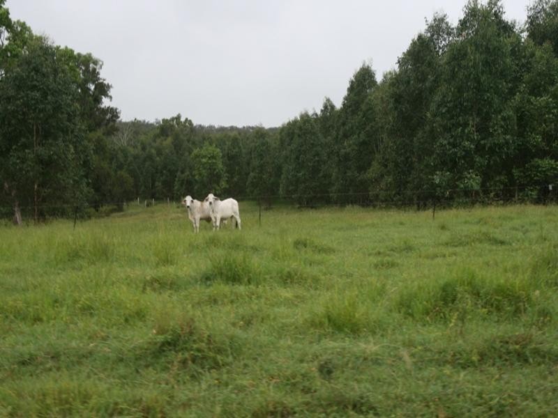 Miriam Vale QLD 4677