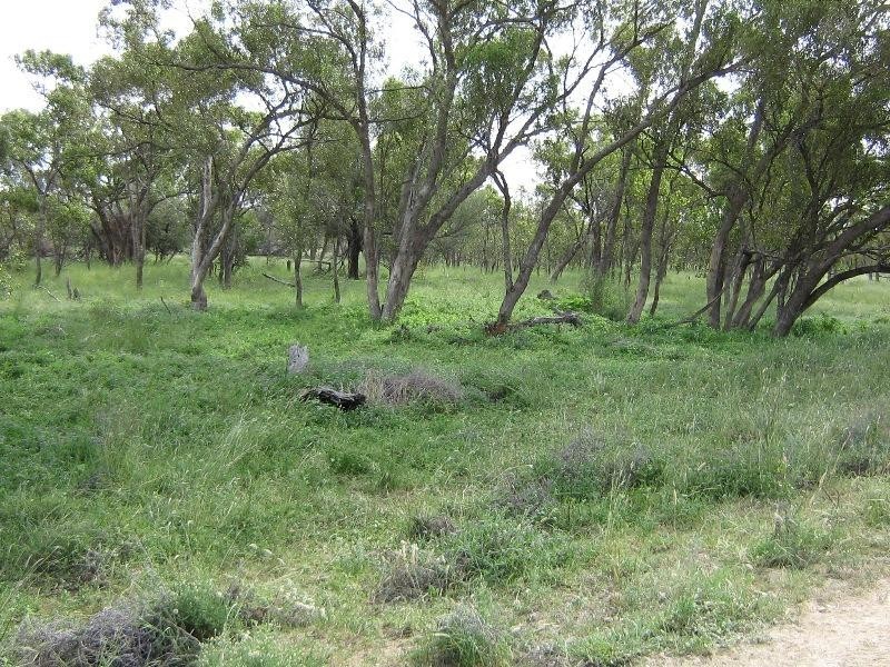 Charleville QLD 4470