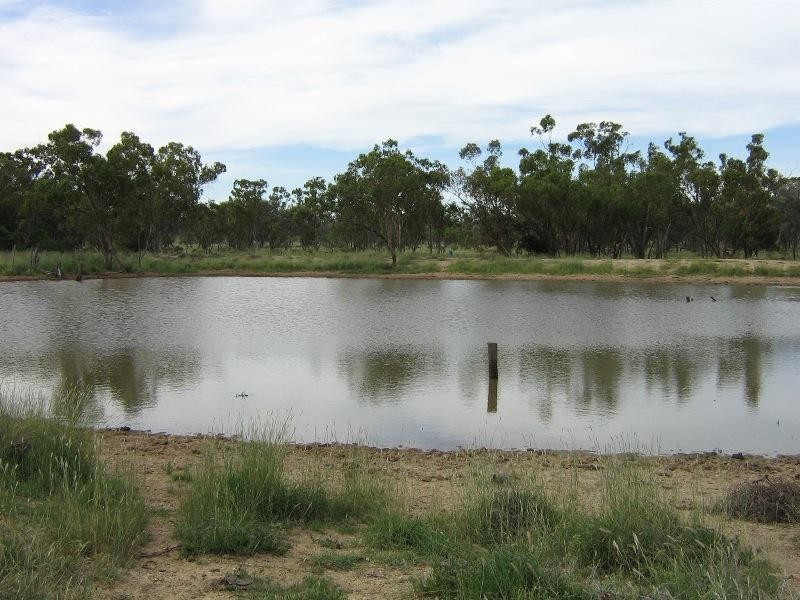 Charleville QLD 4470