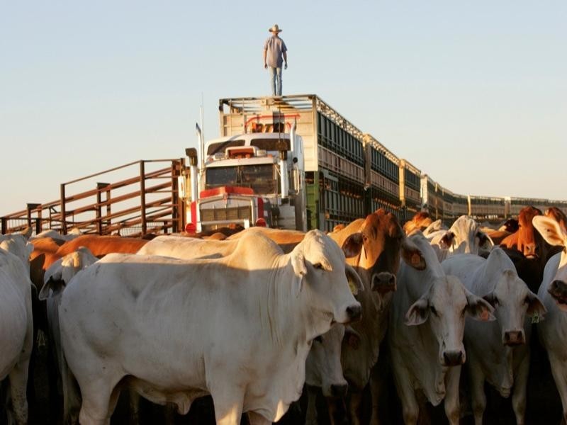 Karumba QLD 4891