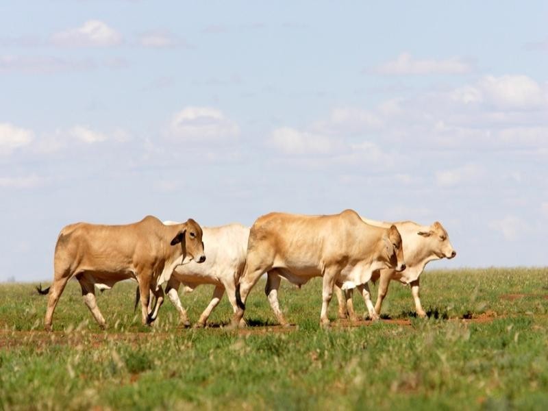 Karumba QLD 4891