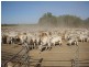 Hughenden QLD 4821