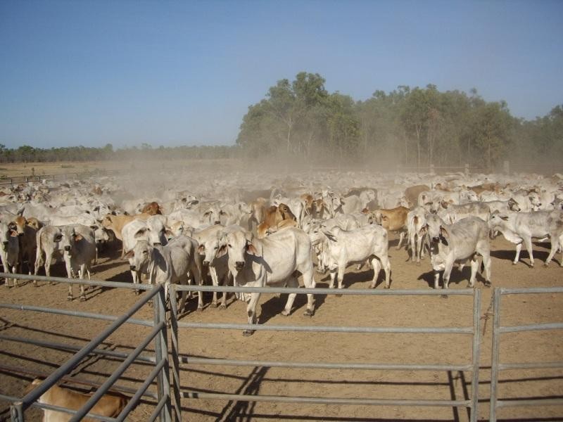 Hughenden QLD 4821