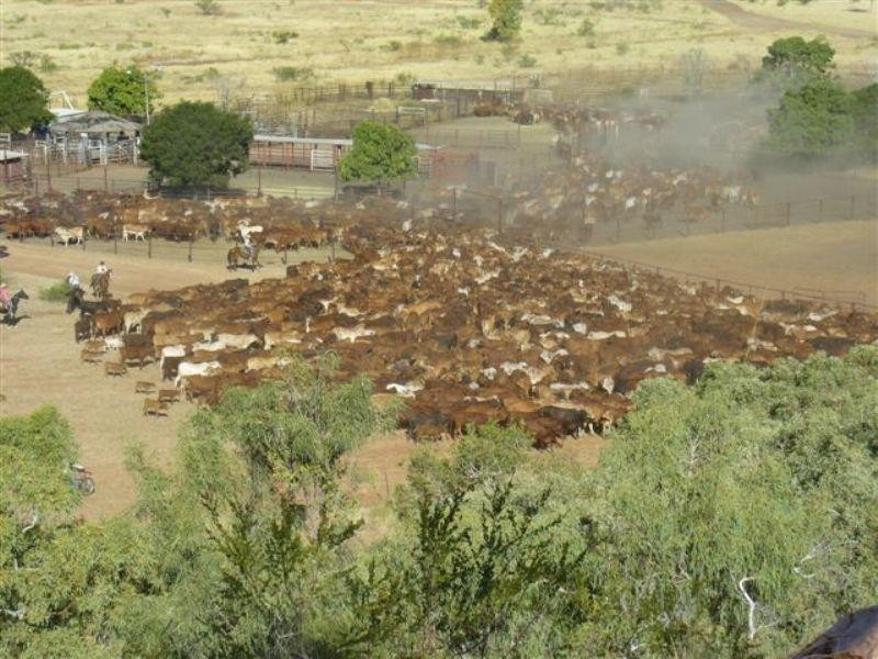 Hughenden QLD 4821