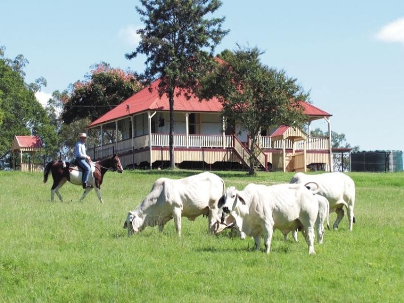 Mount Crosby QLD 4306
