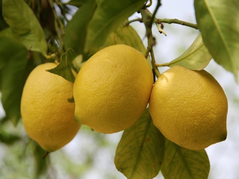 Mount Binga QLD 4306