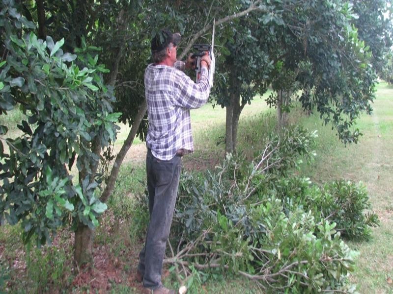 Mount Binga QLD 4306