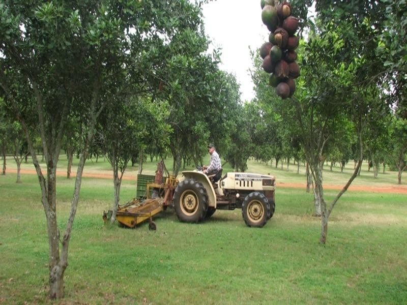 Mount Binga QLD 4306