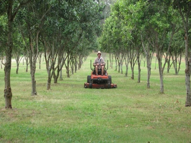 Mount Binga QLD 4306