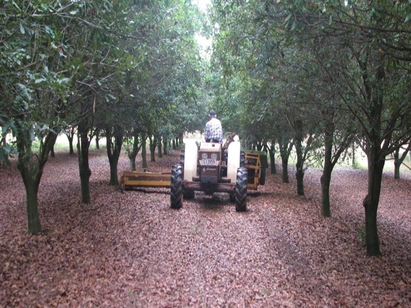 Mount Binga QLD 4306