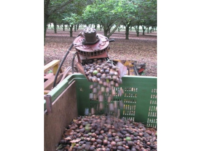 Mount Binga QLD 4306