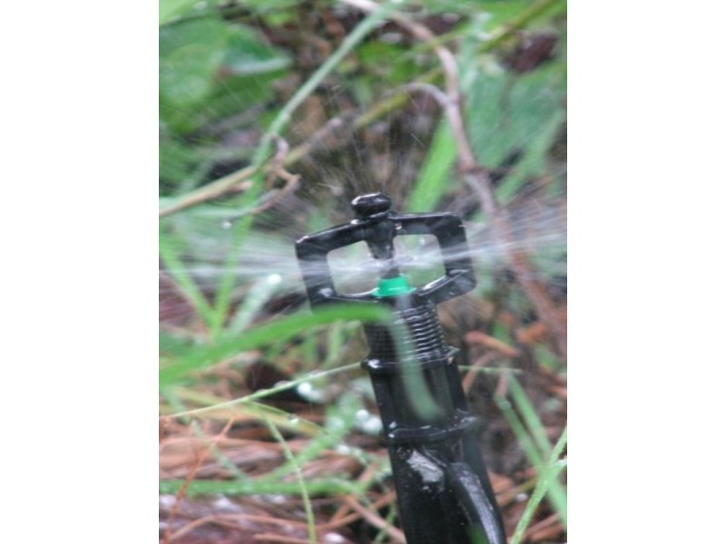 Mount Binga QLD 4306