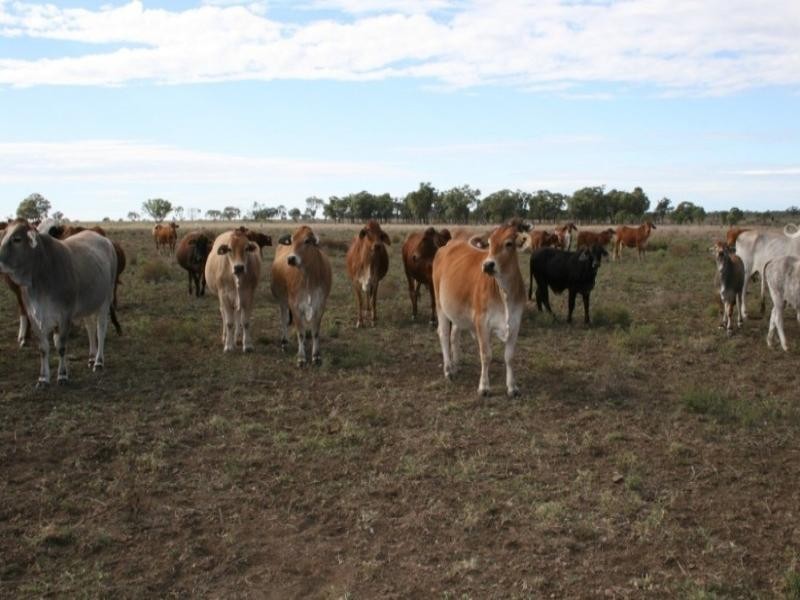 Augathella QLD 4477