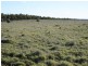 Augathella QLD 4477