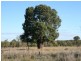 Augathella QLD 4477