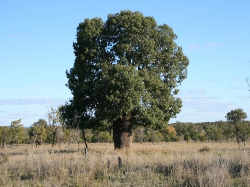 Augathella QLD 4477