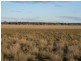 Augathella QLD 4477